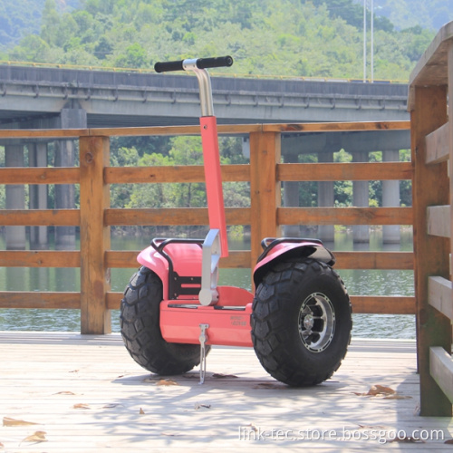 Lithium Battery Electrical Scooter Segway with Speed Distance Display